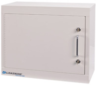 Lakeside Single Door/ Double Lock Narcotic Cabinet